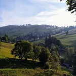 Residenz Schauinsland, Ganzes Appartement, Sauna Тодтнау