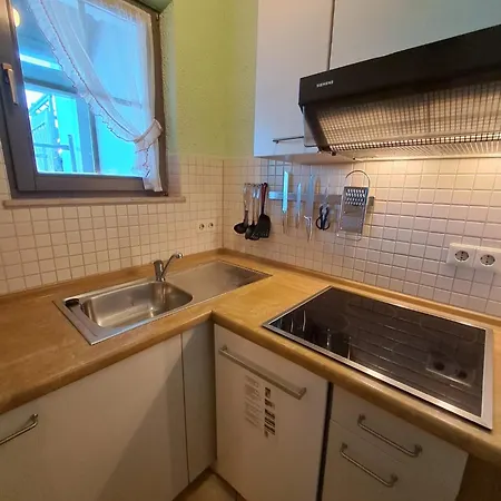 Apartamento Residenz Schauinsland, Ganzes Appartement, Sauna Todtnau