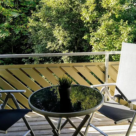 Apartamento Residenz Schauinsland, Ganzes Appartement, Sauna Todtnau